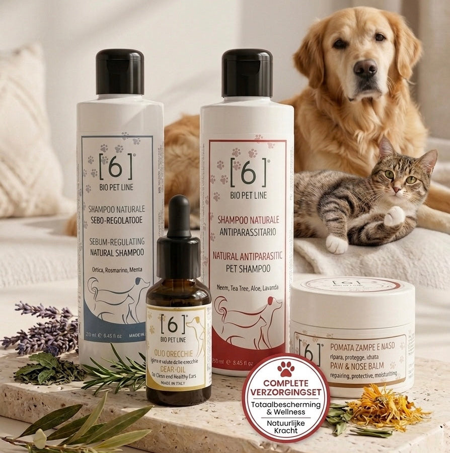 Deep Clean & Hygiëne Bundel – Intensieve Verzorging