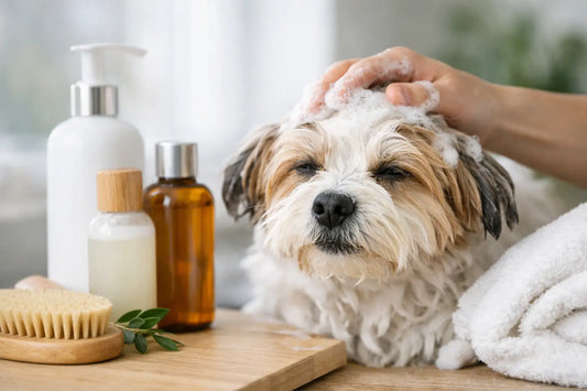 Welke shampoo bij gevoelige hondenhuid?