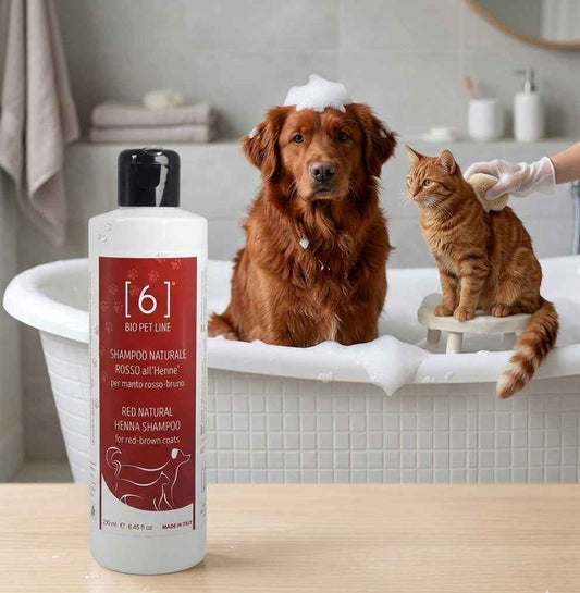 Rode Henna Shampoo – Voor Rode & Bruine Vachten