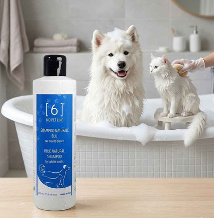 Blauwe Kamille Shampoo – Voor Witte Vachten
